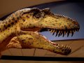 c_1233291282639_San_Diego_Albertosaur_by_adventurevisual.jpg